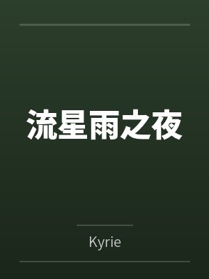 流星雨之夜